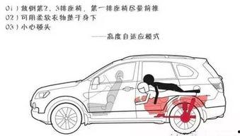 91车震,揭秘网络热词背后的社会现象