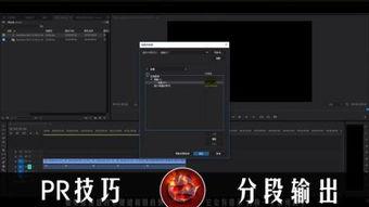 91prm,揭秘热门影视资源平台的魅力与挑战