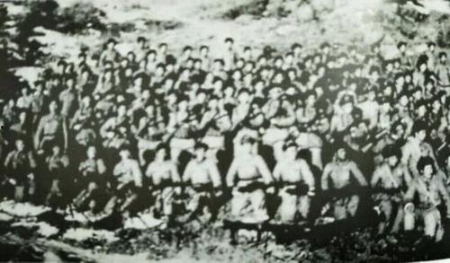 31师91团,英勇历程与辉煌成就的传奇篇章